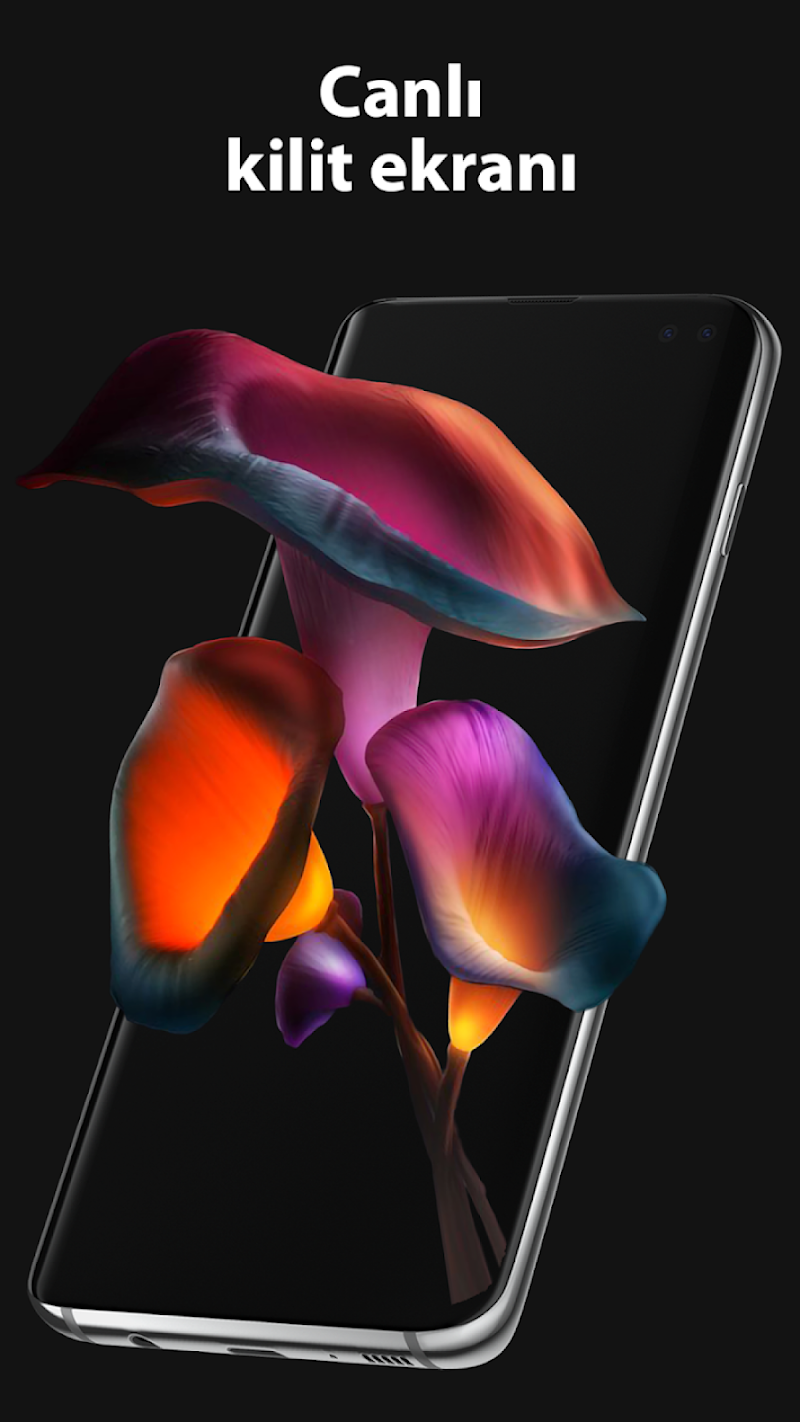 Pixel 4D Canlı Duvar Kağıtları uygulama yüklü cihaz görüntüsü