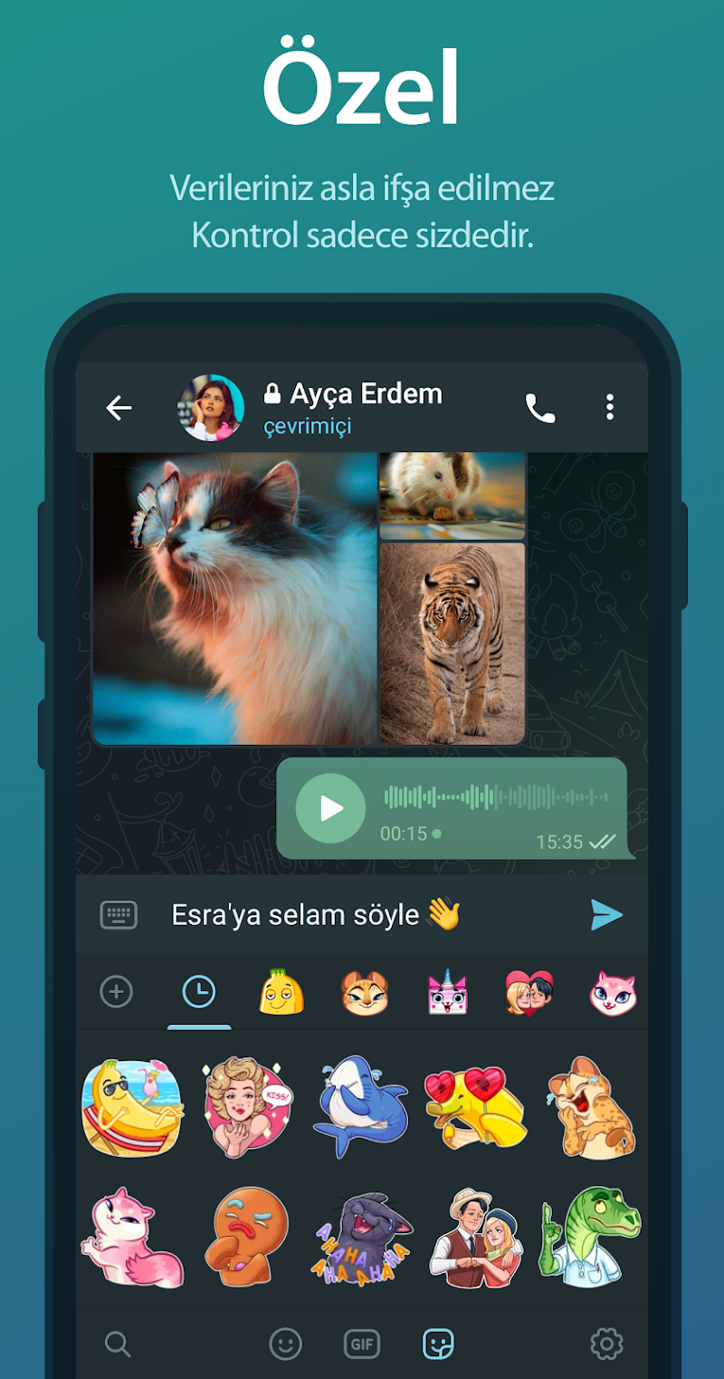 Telegram ekran görüntüsü 4